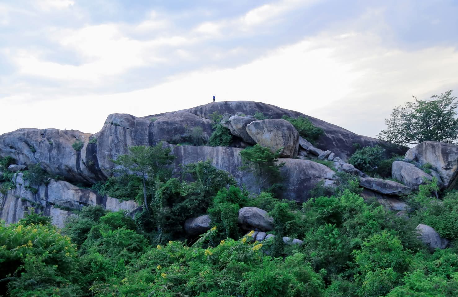 Uganda travel destination background