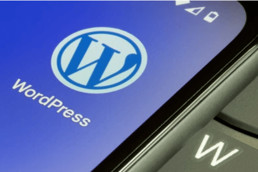 WordPress plugin integration preview