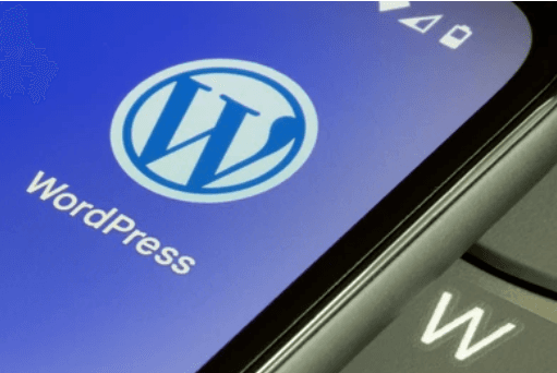 WordPress plugin settings preview