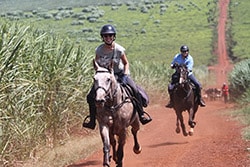 Adult Horse Riding