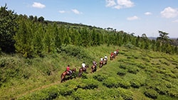 Adult Horse Riding 3