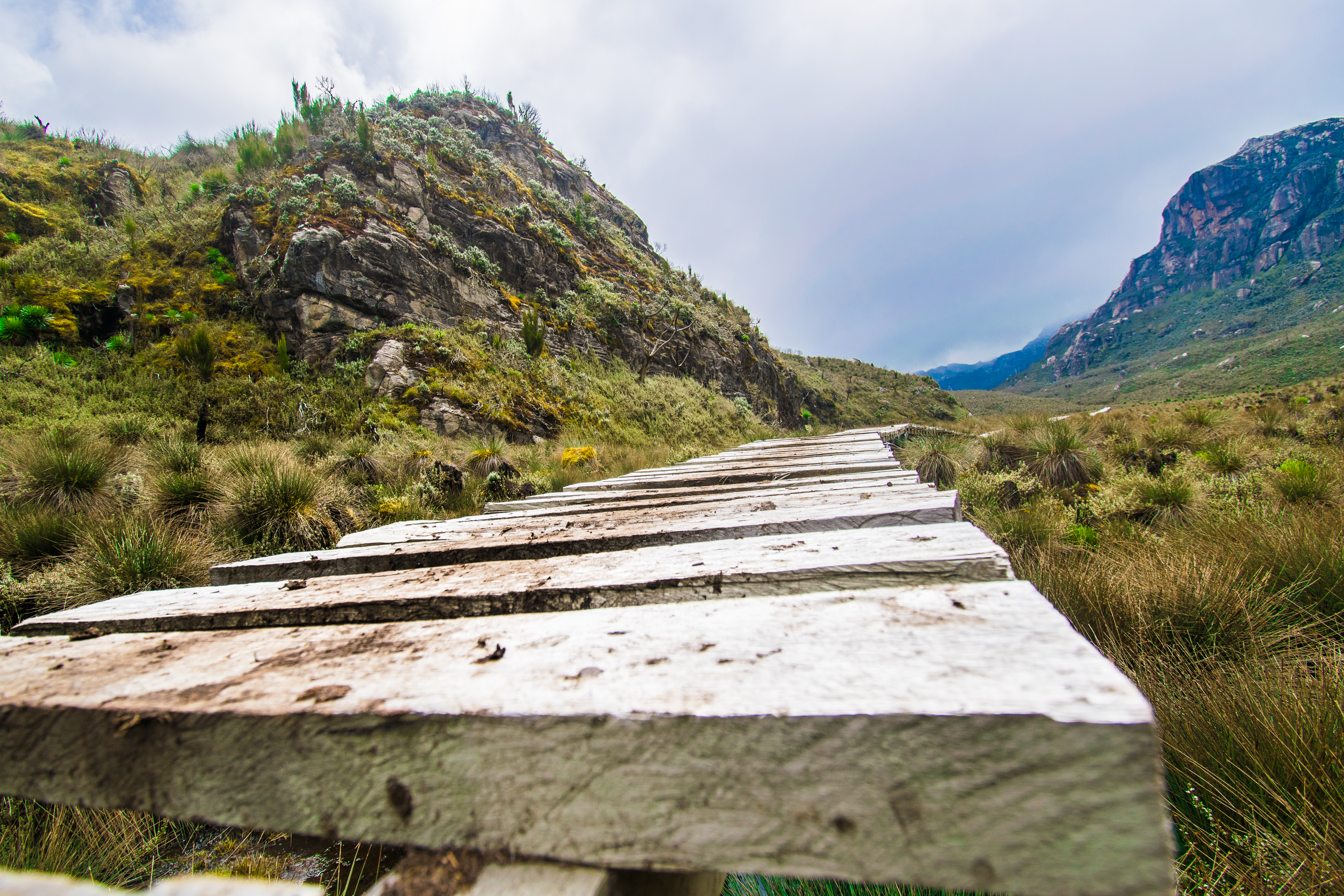 Nature walks experience preview