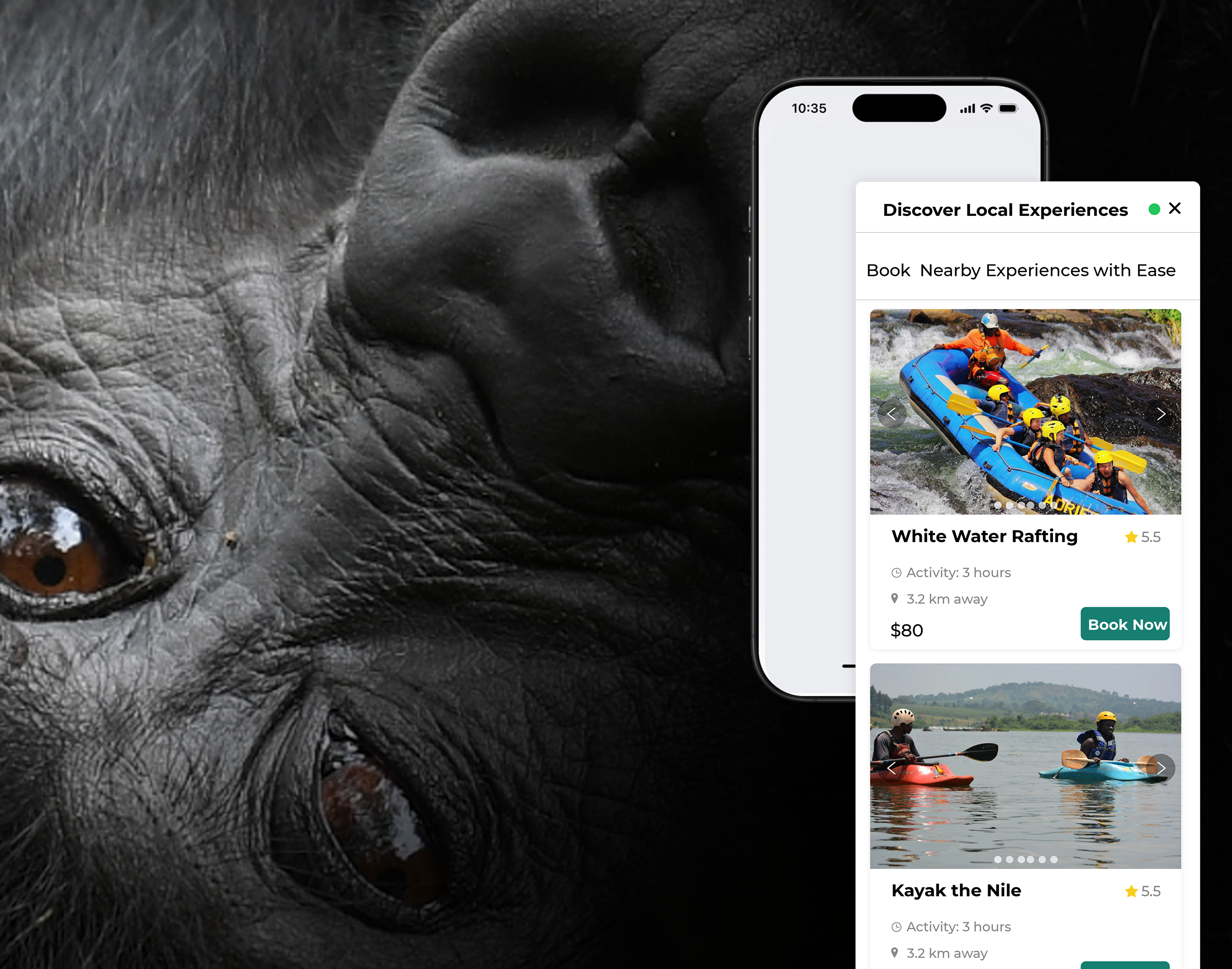Destinely widget on a phone over a gorilla trekking experience